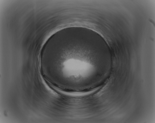 X0000097751515200803071236