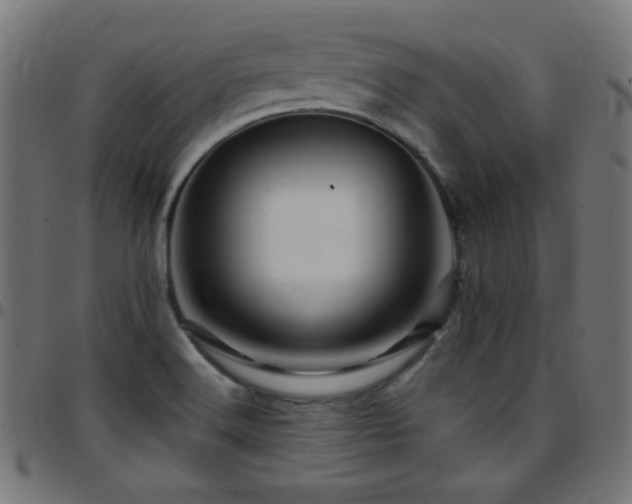 X0000097751516200803071236