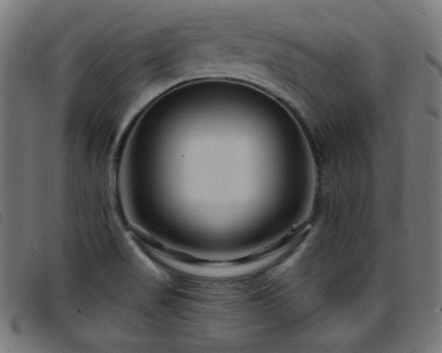 X0000097751517200803071237