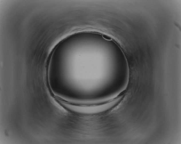 X0000097751518200803071237