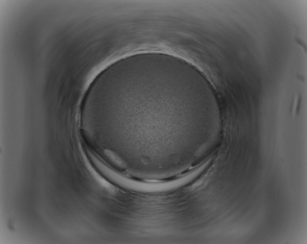 X0000097751519200803071237