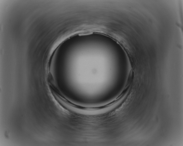 X0000097751520200803071237