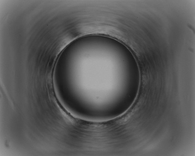 X0000097751521200803071237