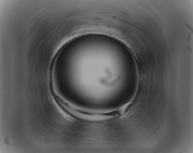 X0000097751523200803071237