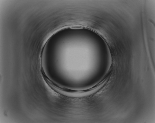 X0000097751524200803071237