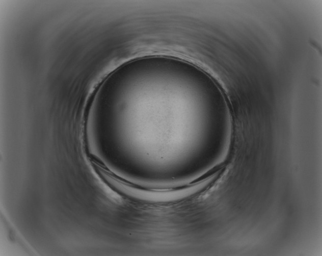 X0000097751525200803071237