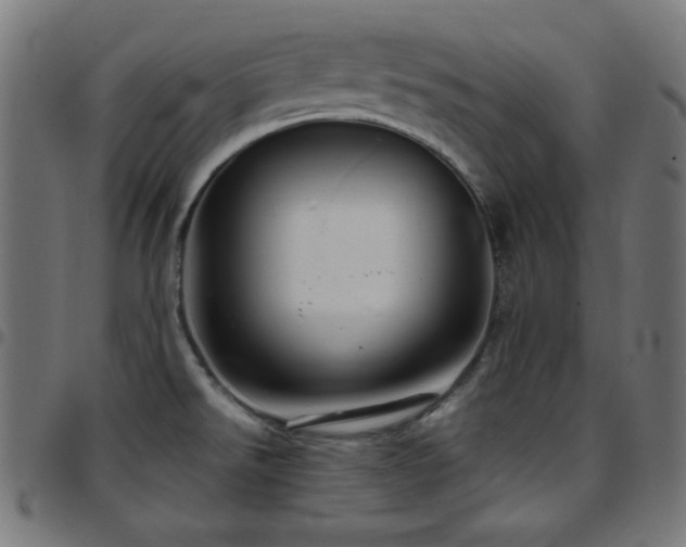 X0000097751526200803071237