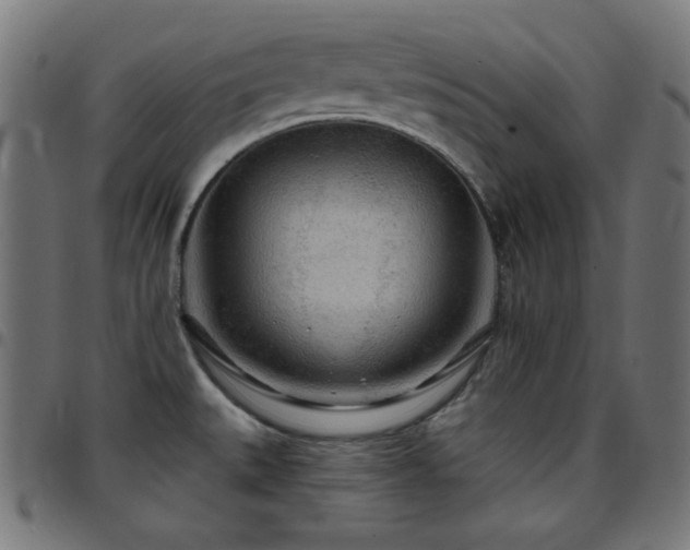 X0000097751527200803071237