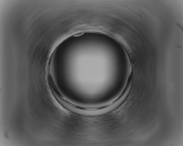 X0000097751528200803071237