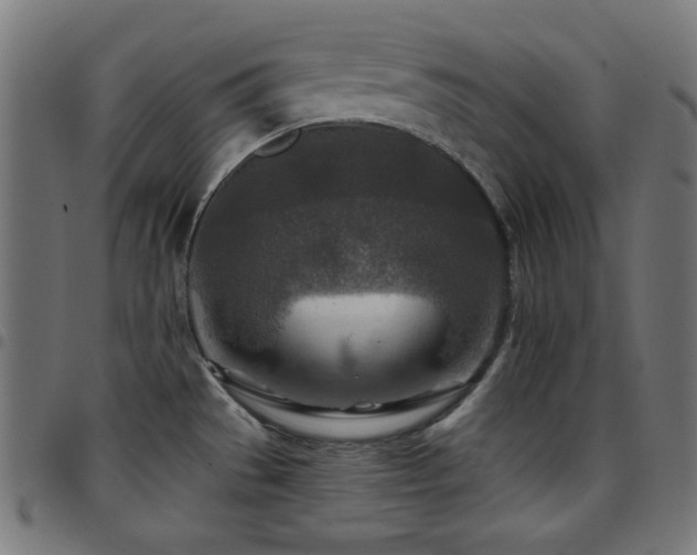 X0000097751529200803071237