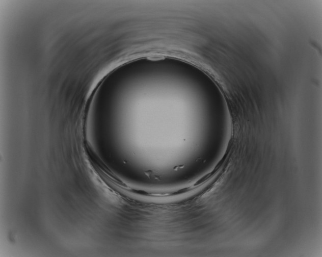 X0000097751530200803071237