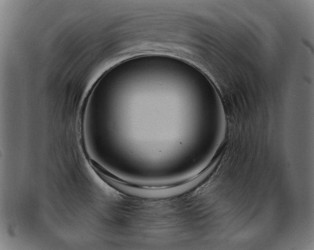 X0000097751531200803071237
