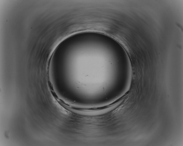 X0000097751532200803071237