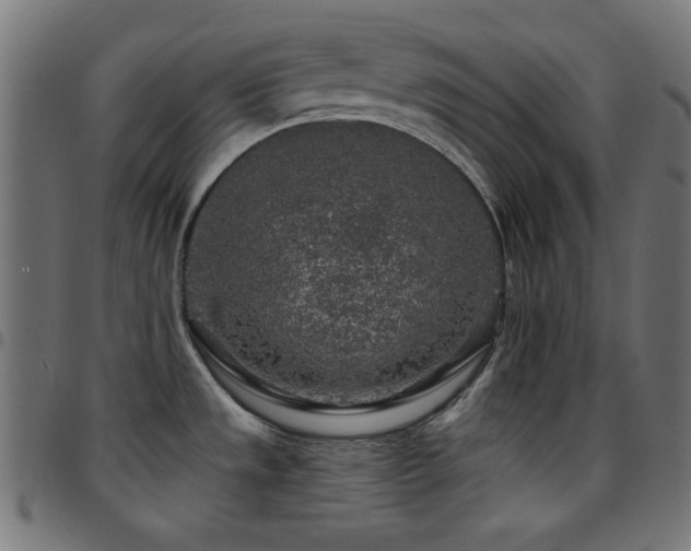 X0000097751533200803071237