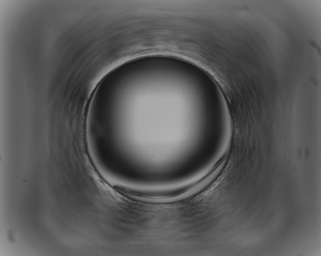 X0000097751534200803071237