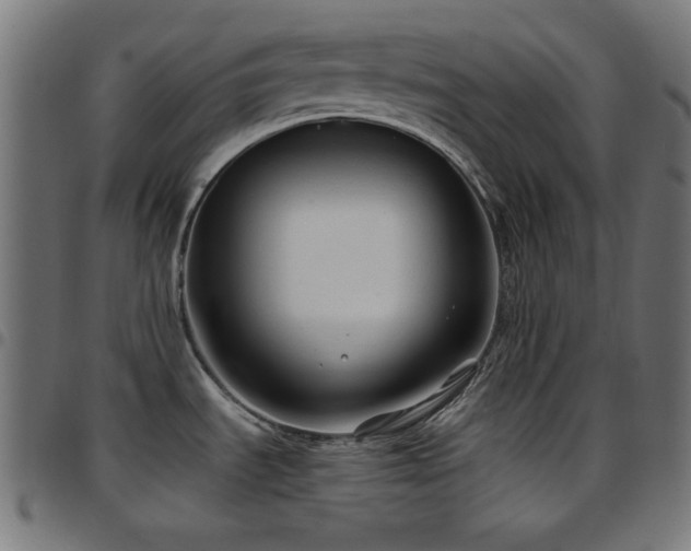 X0000097751535200803071237