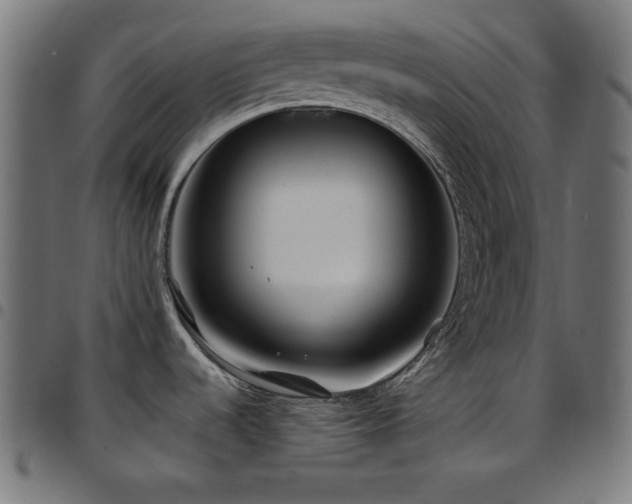 X0000097751536200803071237