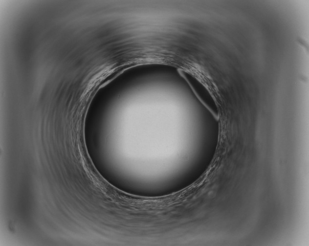 X0000097750001200803141607