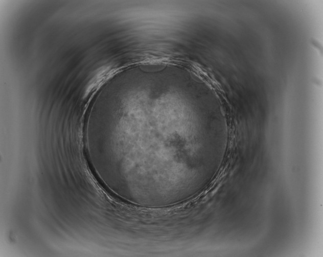 X0000097750002200803141607