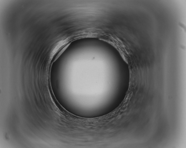 X0000097750003200803141607