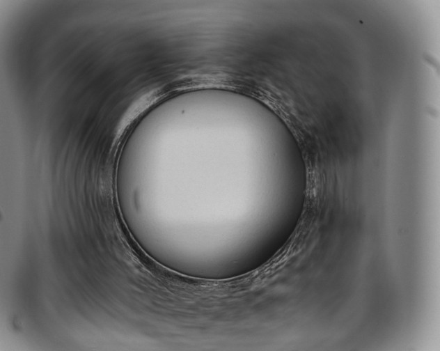 X0000097750004200803141607