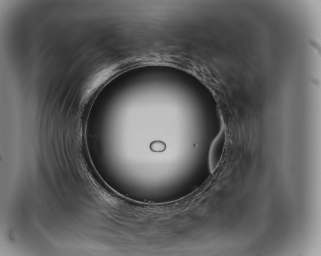 X0000097750005200803141607