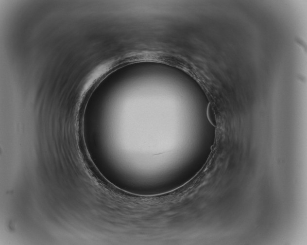 X0000097750006200803141607