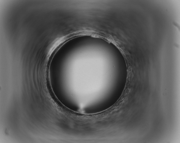 X0000097750007200803141607