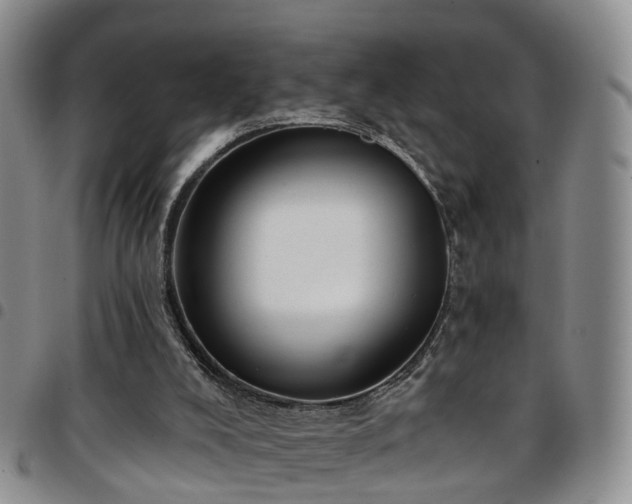 X0000097750008200803141607