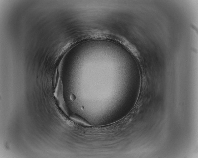 X0000097750009200803141607