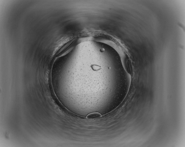 X0000097750010200803141607