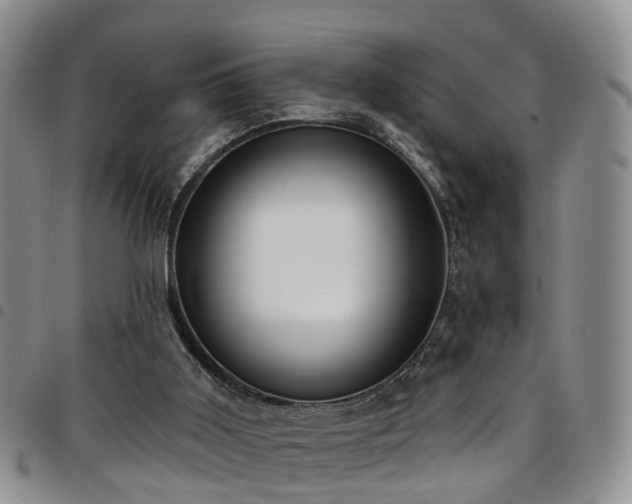 X0000097750011200803141607