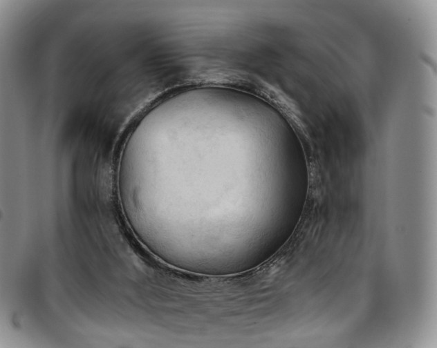 X0000097750012200803141607