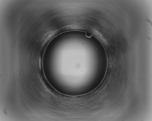 X0000097750014200803141607