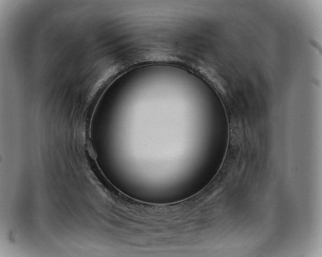 X0000097750015200803141607