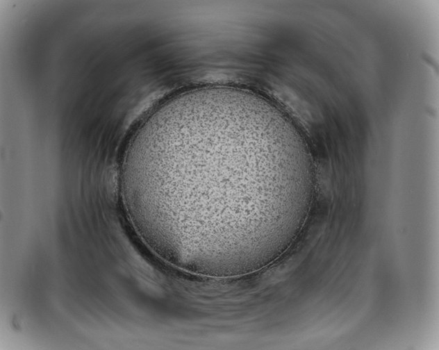 X0000097750016200803141607