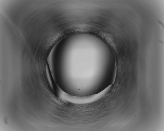 X0000097750017200803141607