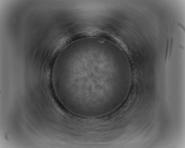 X0000097750018200803141607