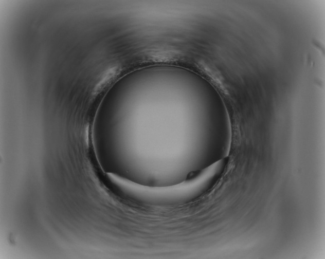 X0000097750019200803141607