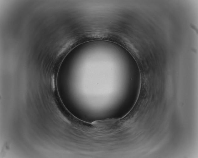 X0000097750020200803141607