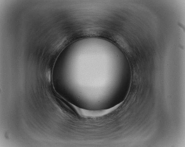 X0000097750021200803141607