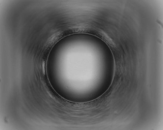 X0000097750022200803141607