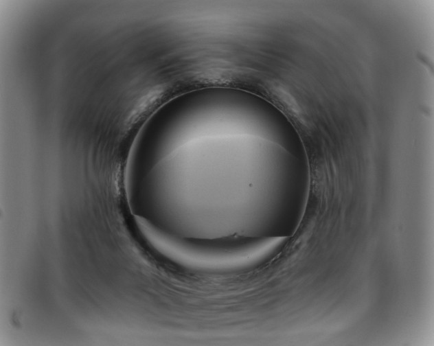 X0000097750023200803141607