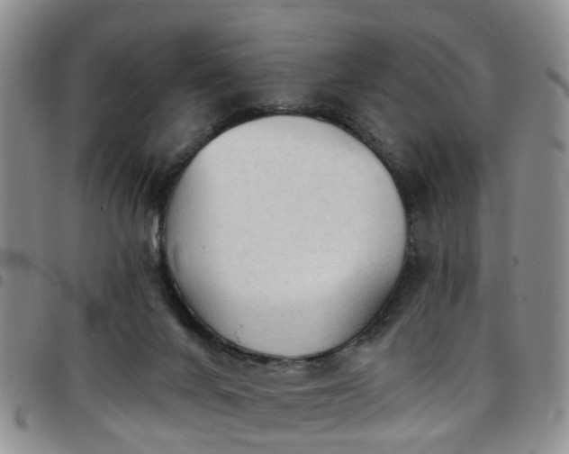 X0000097750024200803141607