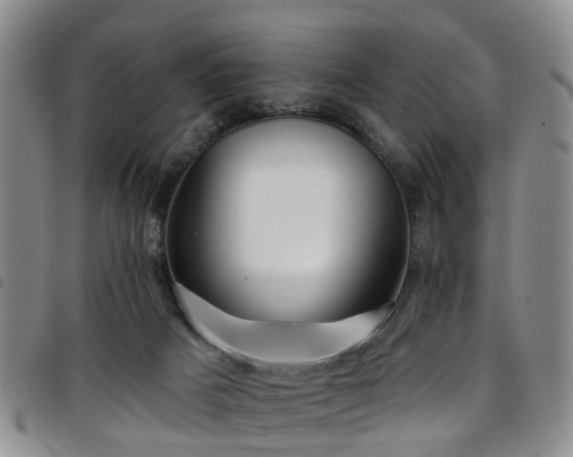 X0000097750025200803141607