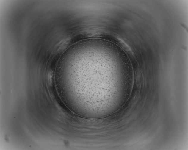 X0000097750026200803141607