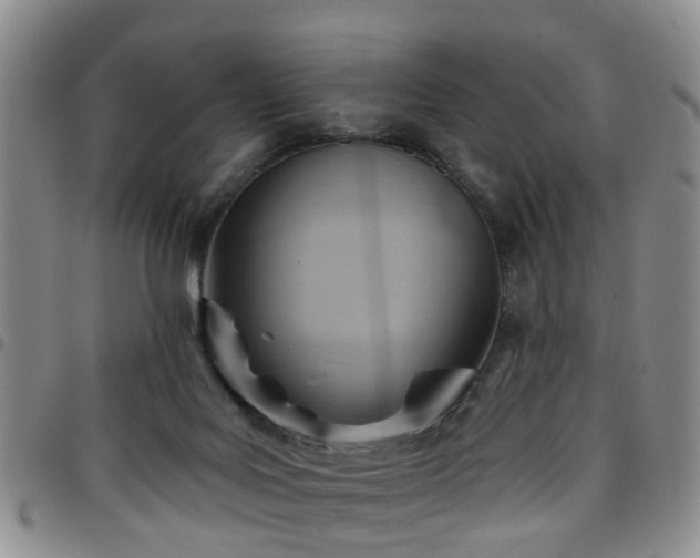 X0000097750027200803141607