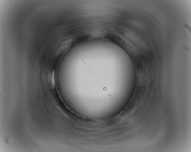 X0000097750028200803141607