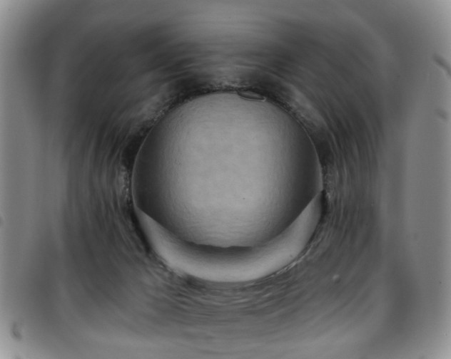 X0000097750029200803141606