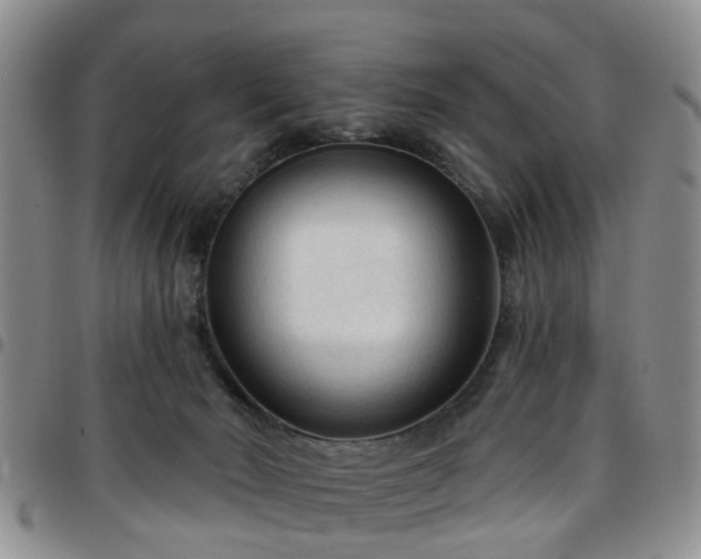 X0000097750030200803141606